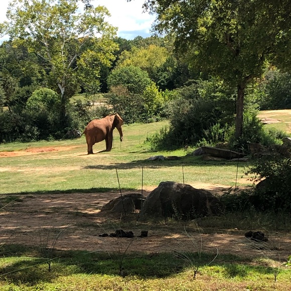 Meet your Posher, Mohd - Picture 1 of 1